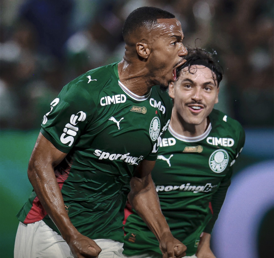Palmeiras  vence o Grêmio e segue firme na liderança do brasileirão