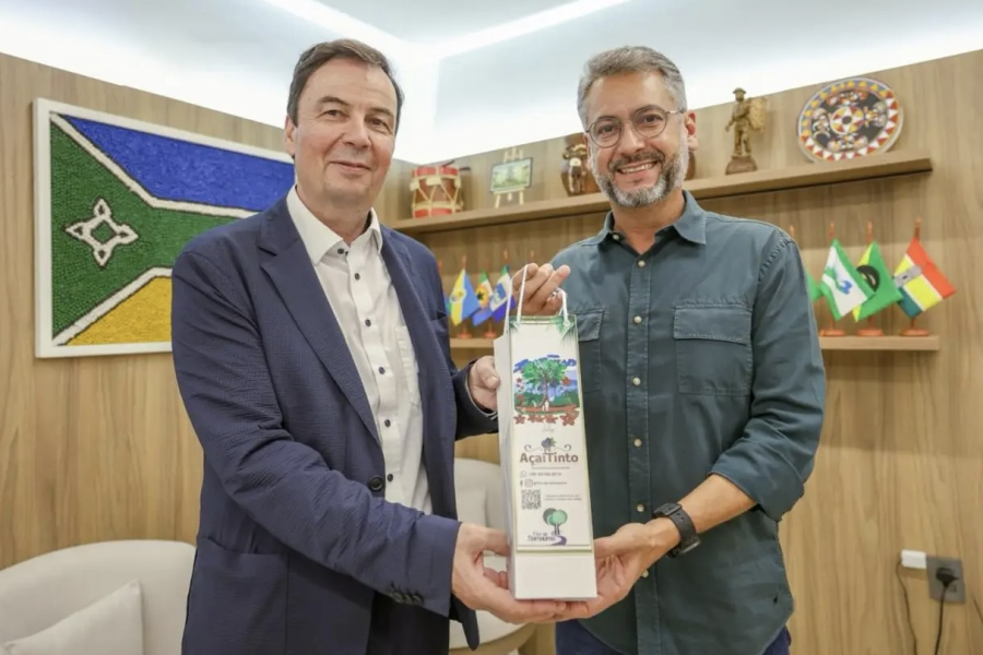 Amapá avança em articulação global ao dialogar com cidade suíça modelo em inovação ambiental